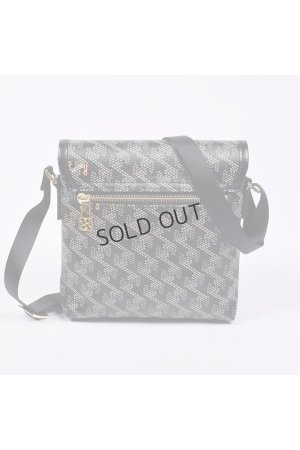 画像3: {SOLD}レザレクション｜Resurrection パロット No.2{-BES}