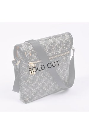 画像4: {SOLD}レザレクション｜Resurrection パロット No.2{-BES}