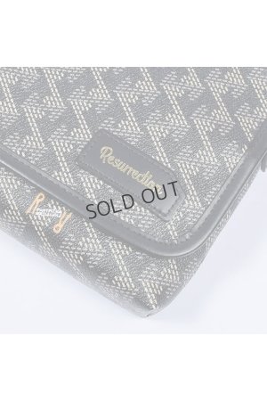 画像8: {SOLD}レザレクション｜Resurrection パロット No.2{-BES}