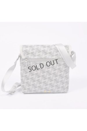 画像3: {SOLD}レザレクション｜Resurrection パロット No.2{-BES}