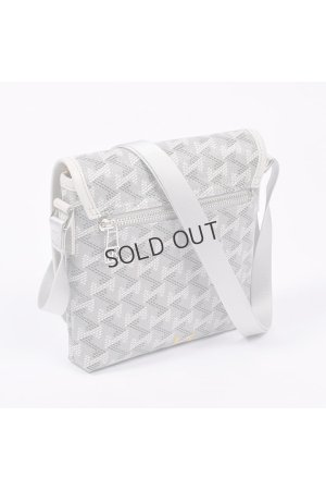 画像4: {SOLD}レザレクション｜Resurrection パロット No.2{-BES}