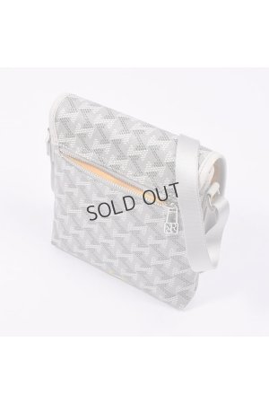 画像5: {SOLD}レザレクション｜Resurrection パロット No.2{-BES}