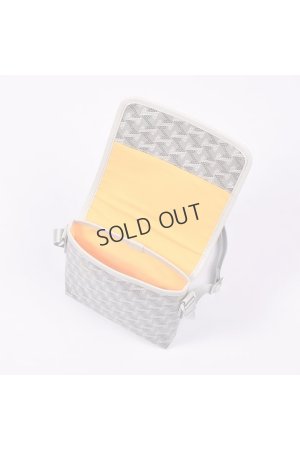 画像6: {SOLD}レザレクション｜Resurrection パロット No.2{-BES}