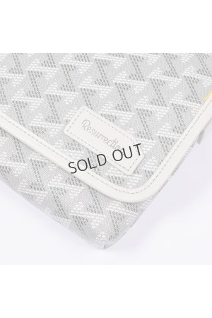 画像8: {SOLD}レザレクション｜Resurrection パロット No.2{-BES}