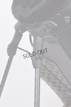 画像12: {SOLD}レザレクション｜Resurrection パーヴォーNo.４{-BDA}