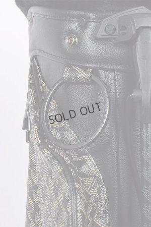 画像13: {SOLD}レザレクション｜Resurrection パーヴォーNo.４{-BDA}