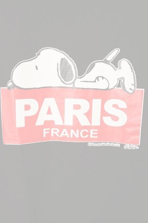 画像3:  {SOLD} PEANUTS ピーナッツ スヌーピー ショートスリーブTシャツ{-BDS}