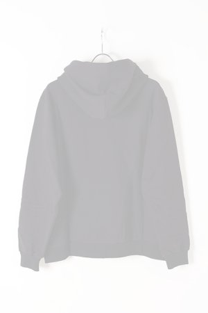 画像5:  {SOLD} PHOBIA フォビア LIGHTING HOODIE{-BJS}