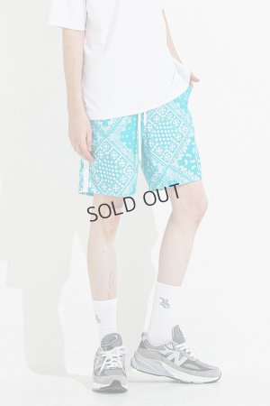 画像1: {SOLD}RESOUND CLOTHING リサウンドクロージング RUSH SHORTS{-BES}