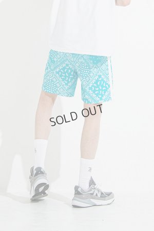 画像4: {SOLD}RESOUND CLOTHING リサウンドクロージング RUSH SHORTS{-BES}