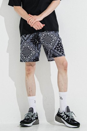 画像1: RESOUND CLOTHING リサウンドクロージング RUSH SHORTS{-BES}