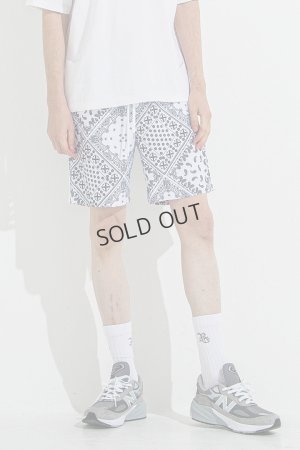 画像1: {SOLD}RESOUND CLOTHING リサウンドクロージング RUSH SHORTS{-BES}