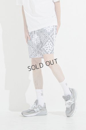 画像2: {SOLD}RESOUND CLOTHING リサウンドクロージング RUSH SHORTS{-BES}