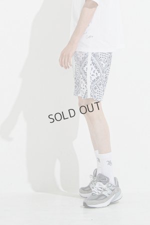 画像3: {SOLD}RESOUND CLOTHING リサウンドクロージング RUSH SHORTS{-BES}