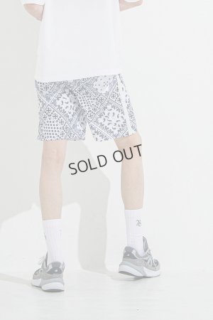 画像4: {SOLD}RESOUND CLOTHING リサウンドクロージング RUSH SHORTS{-BES}