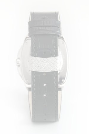 画像2:  {SOLD} Roberto Cavalli by FRANCK MULLER ロベルト・カヴァリ バイ フランク・ミュラー RV1G157L0011{RCF1142-BES}{E-}