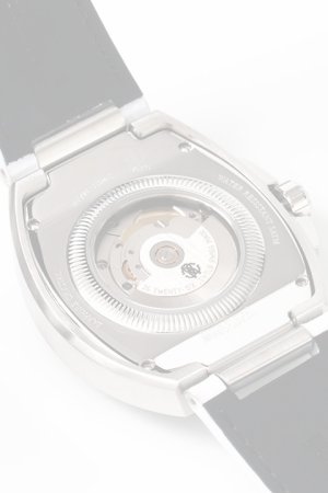 画像3: {お取り寄せ}Roberto Cavalli by FRANCK MULLER ロベルト・カヴァリ バイ フランク・ミュラー RV1G207L0021{RCF1159-BDS}{E-}