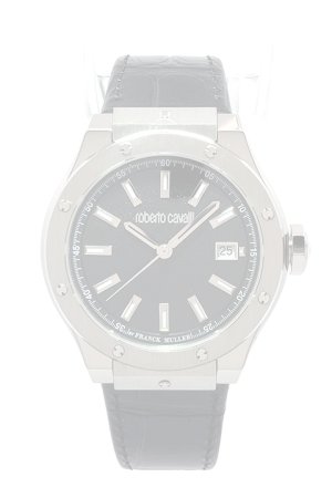 画像1: {お取り寄せ}Roberto Cavalli by FRANCK MULLER ロベルト・カヴァリ バイ フランク・ミュラー RV1G236L0031{RCF1263-BDS}{E-}