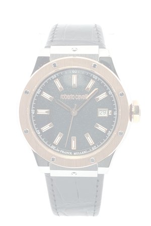 画像1: {お取り寄せ}Roberto Cavalli by FRANCK MULLER ロベルト・カヴァリ バイ フランク・ミュラー RV1G236L0051{RCF1265-BDS}{E-}