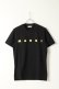 画像1: {SOLD}MARNI マルニ T-Shirts{HUMU0198PO-S23843-BAS} (1)