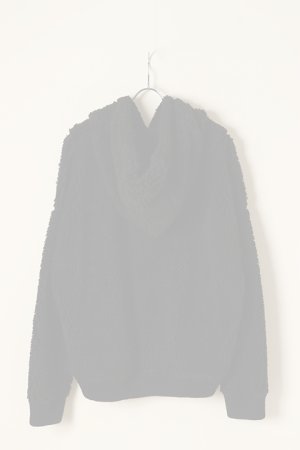 画像5:   DSQUARED2 ディースクエアード Invicta Teddy Hoodie{S71GU0558S25565900-BBA}