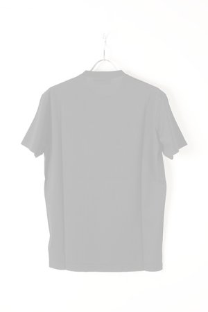 画像2:  {SOLD} DSQUARED2 ディースクエアード Dsquared2 Arctic Twins T-Shirt{-AIA}