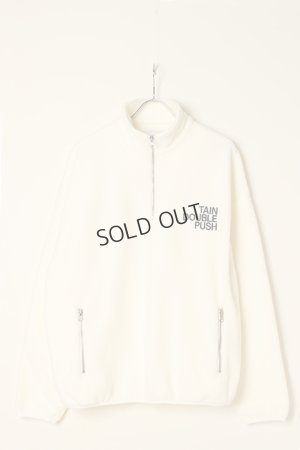 画像1: {SOLD}TAIN DOUBLE PUSH タインダブルプッシュ DOUBLE PUSH HALF ZIP FLEECE{-BBA}