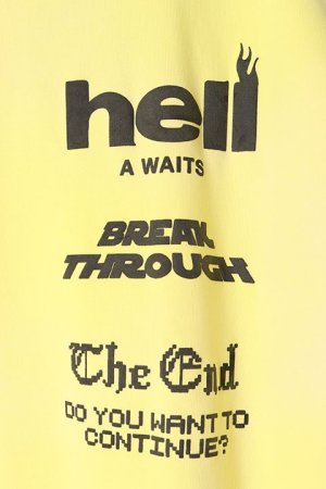 画像3: TAIN DOUBLE PUSH タインダブルプッシュ DOUBLE PUSH HALF ZIP SWEAT{-BCS}