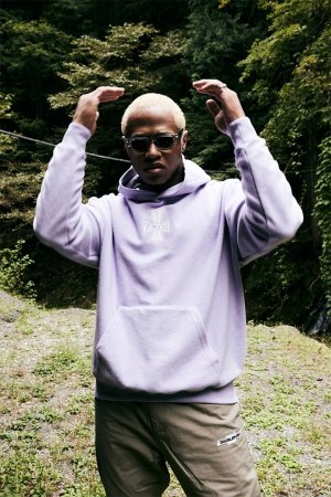 画像7: TAIN DOUBLE PUSH タインダブルプッシュ BRUSHED P/O HOODIE（リバーシブル）{-BCA}