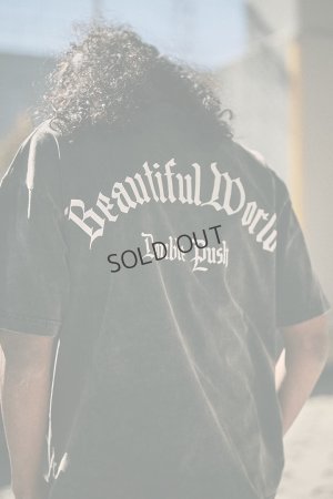 画像11: {SOLD}TAIN DOUBLE PUSH タインダブルプッシュ DREAMIN’ SHORT SLEEVE T-SHIRTS{-BES}