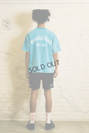 画像7: {SOLD}TAIN DOUBLE PUSH タインダブルプッシュ DREAMIN’ SHORT SLEEVE T-SHIRTS{-BES}