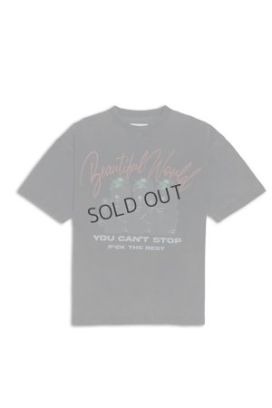 画像1: {SOLD}TAIN DOUBLE PUSH タインダブルプッシュ BEAUTIFUL WORLD SHORT SLEEVE T-SHIRTS{-BES}