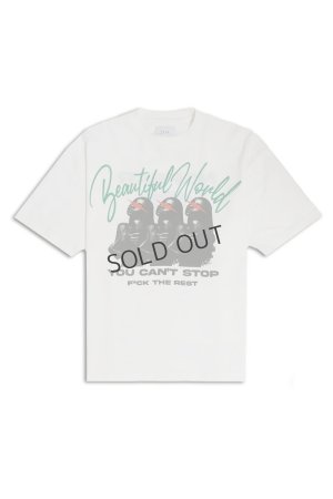 画像1: {SOLD}TAIN DOUBLE PUSH タインダブルプッシュ BEAUTIFUL WORLD SHORT SLEEVE T-SHIRTS{-BES}