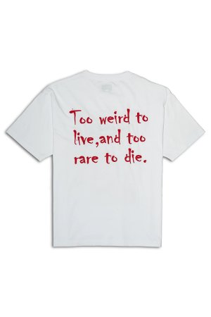 画像2: TAIN DOUBLE PUSH タインダブルプッシュ JOHNNY SHORT SLEEVE T-SHIRTS{-BES}