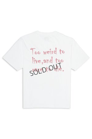 画像2: {SOLD}TAIN DOUBLE PUSH タインダブルプッシュ JOHNNY SHORT SLEEVE T-SHIRTS{-BES}