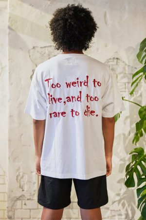 画像4: TAIN DOUBLE PUSH タインダブルプッシュ JOHNNY SHORT SLEEVE T-SHIRTS{-BES}