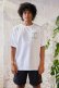 画像3: TAIN DOUBLE PUSH タインダブルプッシュ SMOKING BEAUTY SHORT SLEEVE T-SHIRTS{-BES} (3)