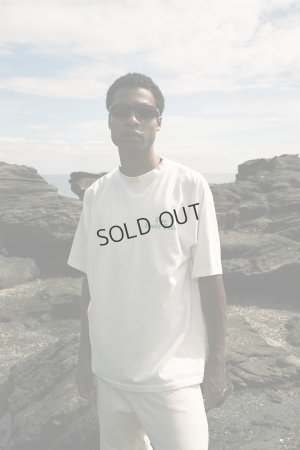 画像3: TAIN DOUBLE PUSH タインダブルプッシュ DREAMIN’ SHORT SLEEVE T-SHIRTS{-BEA}