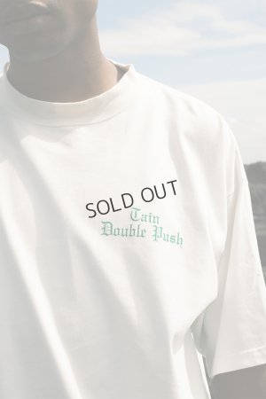 画像5: TAIN DOUBLE PUSH タインダブルプッシュ DREAMIN’ SHORT SLEEVE T-SHIRTS{-BEA}