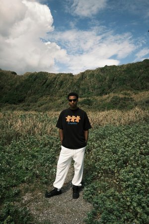 画像5: TAIN DOUBLE PUSH タインダブルプッシュ TEMPTATION SHORT SLEEVE T-SHIRTS{-BEA}