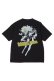 画像2: TAIN DOUBLE PUSH タインダブルプッシュ FLASH LADY SHORT SLEEVE T-SHIRTS{-BFS} (2)