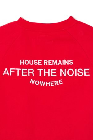 画像11: TAIN DOUBLE PUSH タインダブルプッシュ AFTER THE NOISE CREW NECK SWEAT{-BFA}