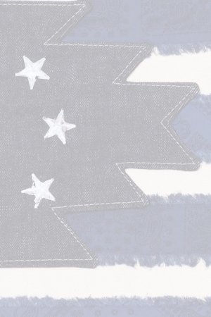 画像5:  {SOLD} TMT ティーエムティー NATIVE U.S.FLAG CLUTCH BAG{-AHA}
