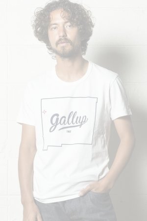 画像1:  {SOLD} TMT ティーエムティー S/SL 19/1 RAFI JERSEY(GALLUP){-AHA}