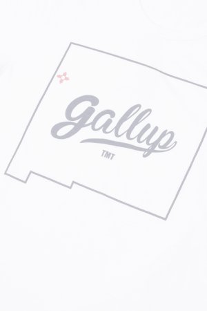 画像4:  {SOLD} TMT ティーエムティー S/SL 19/1 RAFI JERSEY(GALLUP){-AHA}