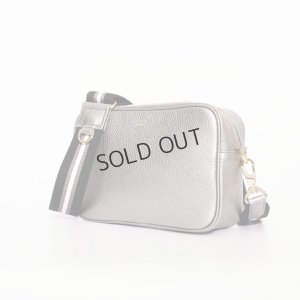 画像2: {SOLD}VIOLAd'ORO ヴィオラドーロ SHIMMER メタリックレザーカメラバッグ{-BFS}
