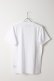 画像2: {SOLD}T' ティー "SEA ISLAND COTTON" LUXSIC 100％(20/1) Vee Neck Short Sleeve BASIC{V01-WHT-AIS} (2)