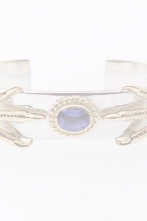 画像2:  {SOLD} Taro Washimi タロウ ワシミ 鷲見太郎 M plain bangle 12mm/eagle claw×2/TANZANITE {-BJA}  :WT-202011-30-F 