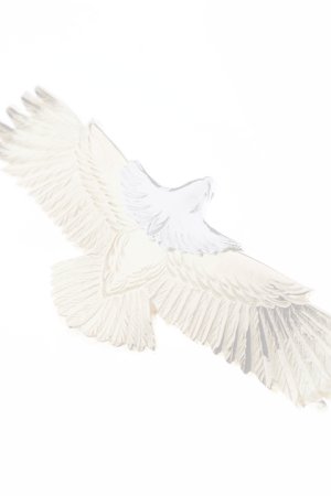 画像5:  {SOLD} Taro Washimi タロウ ワシミ 鷲見太郎 eagle eg-05 {-BJA}  :WT-202012-25-F 
