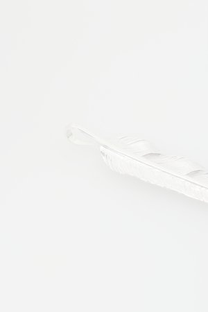 画像4:  {SOLD} Taro Washimi タロウ ワシミ 鷲見太郎 M flight feather K18 top 02 {-BAS}  :WT-202103-07-F 